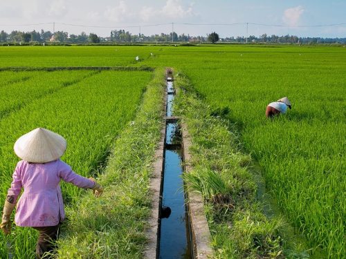 header_image_1920x785_ersa